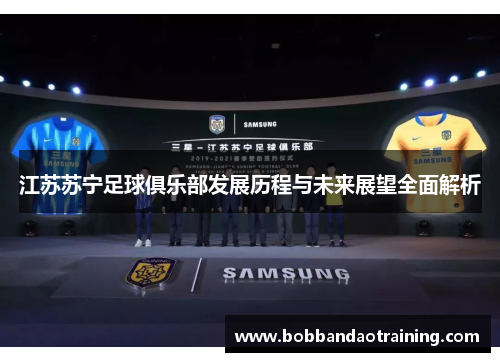 江苏苏宁足球俱乐部发展历程与未来展望全面解析