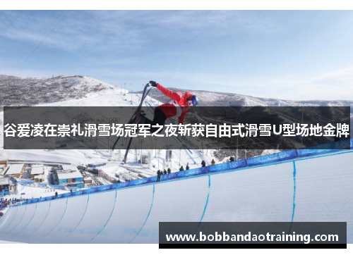 谷爱凌在崇礼滑雪场冠军之夜斩获自由式滑雪U型场地金牌