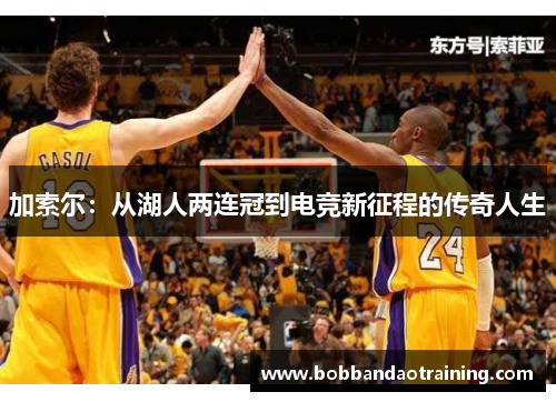 加索尔：从湖人两连冠到电竞新征程的传奇人生