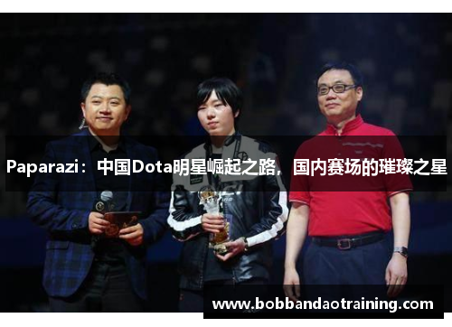 Paparazi：中国Dota明星崛起之路，国内赛场的璀璨之星